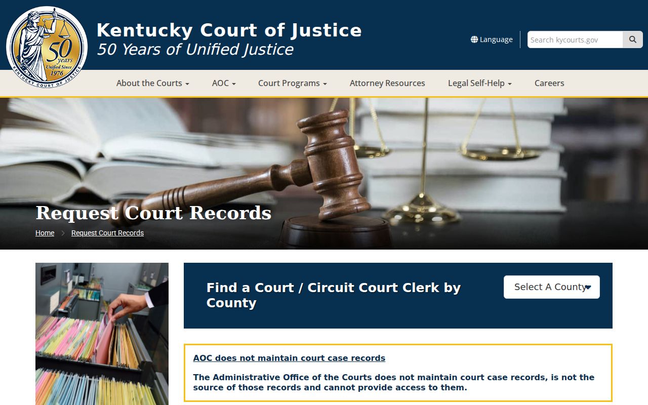 Lyon County court case record request instructions